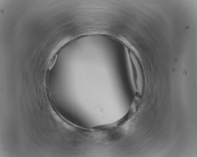 X0000076431189200610202237