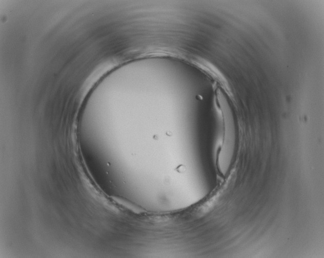 X0000076431190200610202237