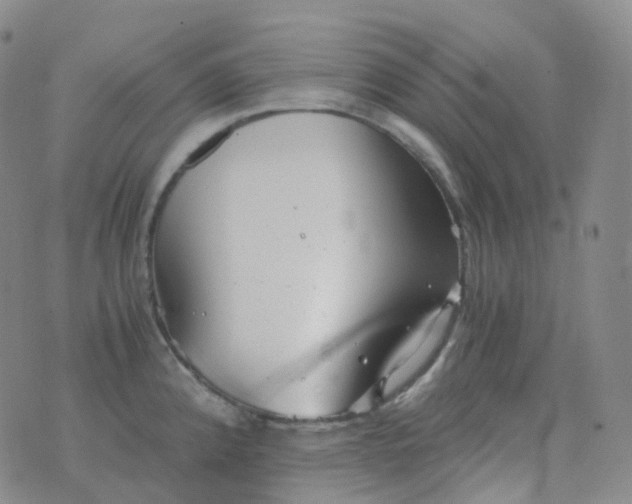 X0000076431192200610202237