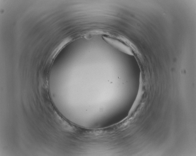 X0000076431193200610202237