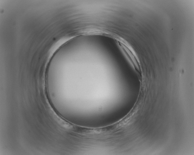 X0000076431195200610202237