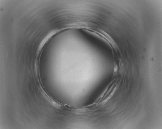 X0000076431196200610202237