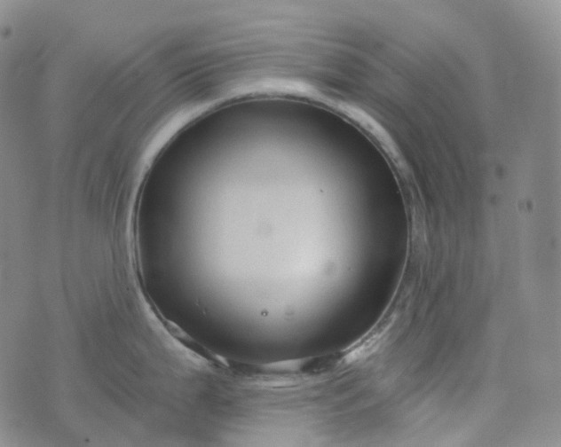 X0000076431199200610202237