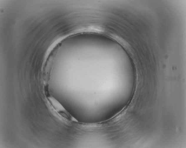 X0000076431200200610202237