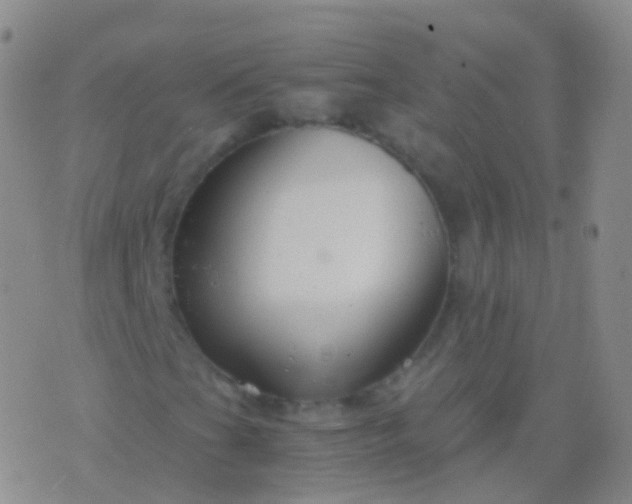 X0000076431201200610202236