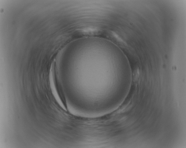 X0000076431202200610202236