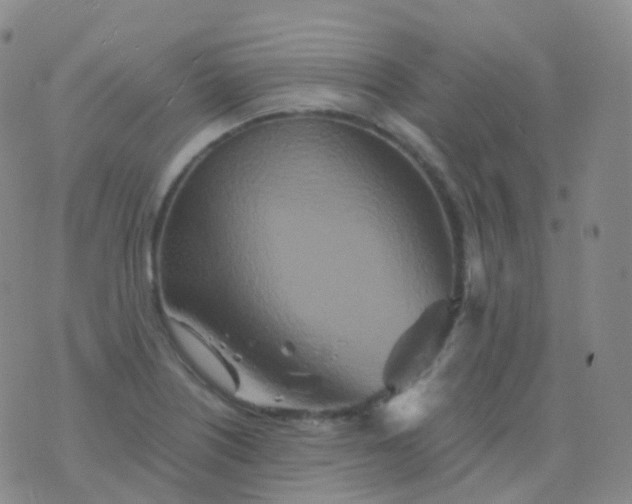 X0000076431226200610202237