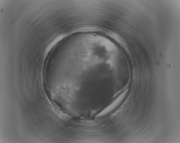 X0000076431229200610202237