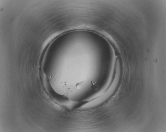 X0000076431230200610202237