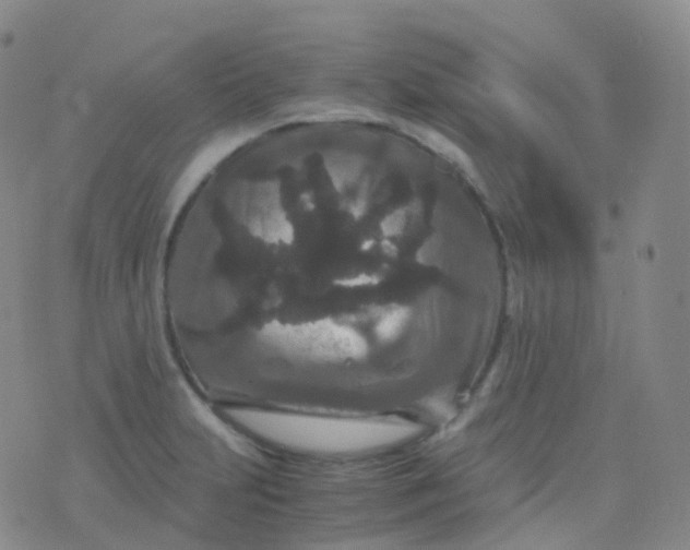 X0000076431231200610202237