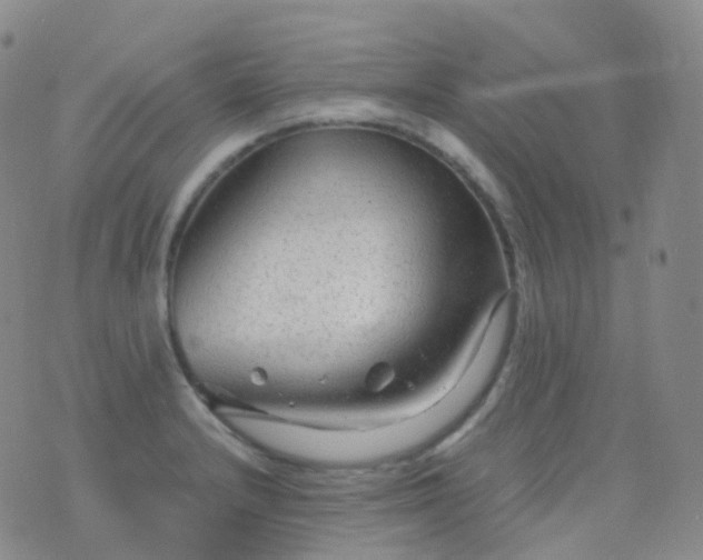 X0000076431232200610202237