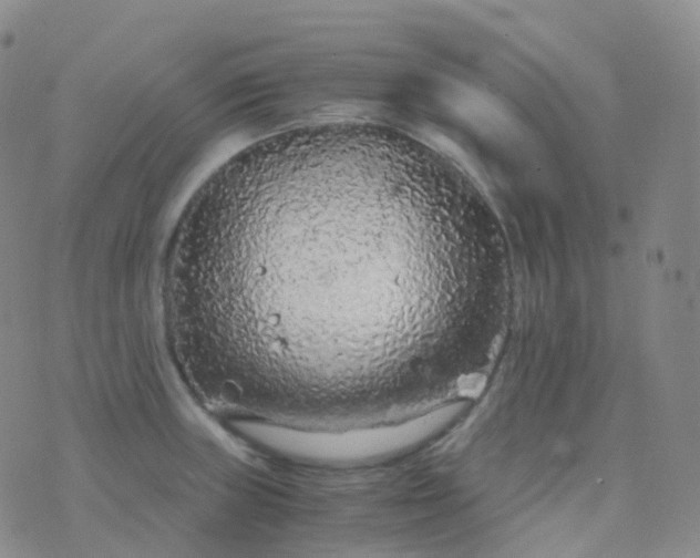 X0000076431235200610202237