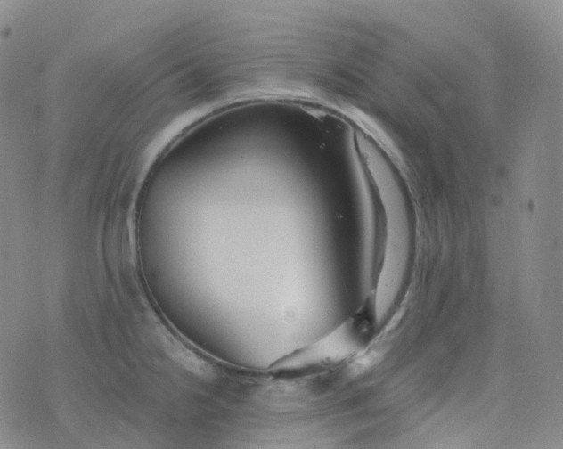 X0000076431238200610202237