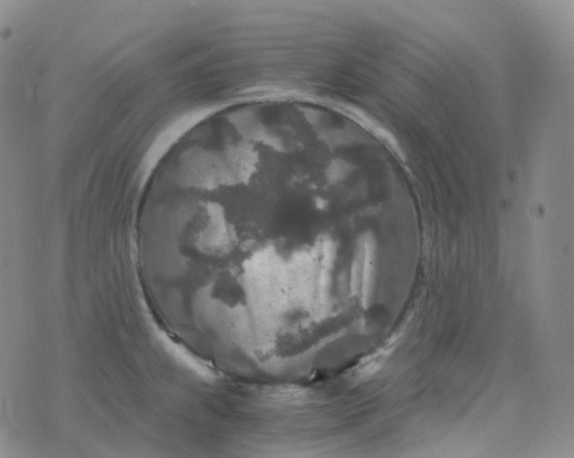 X0000076431239200610202237