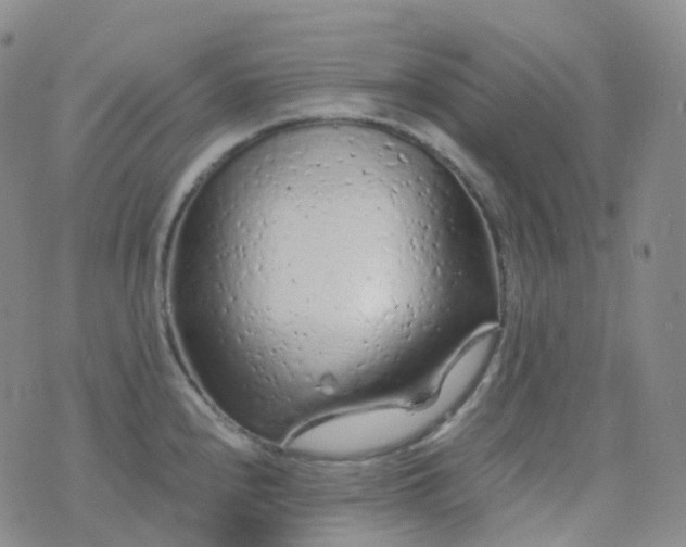 X0000076431240200610202237