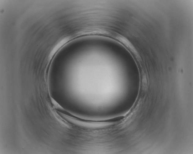 X0000076431242200610202237