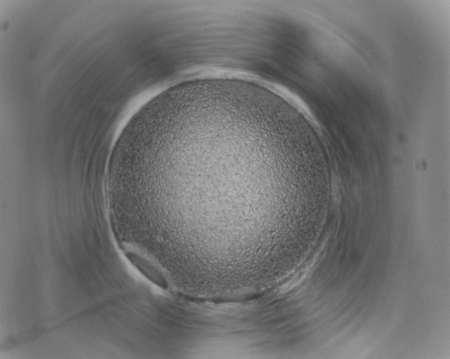 X0000076431247200610202237