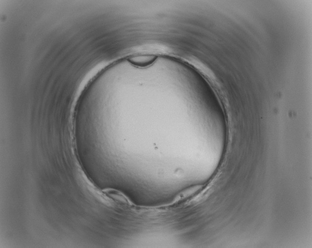 X0000076431248200610202237