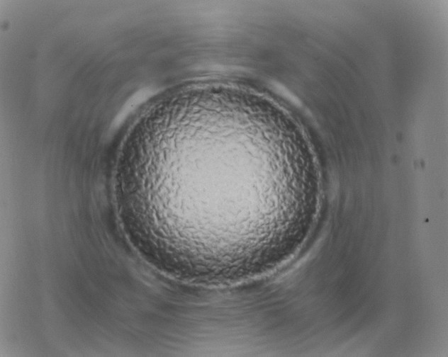 X0000076431259200610202236