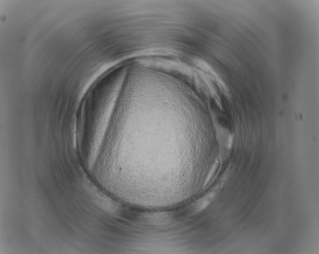 X0000076431276200610202236