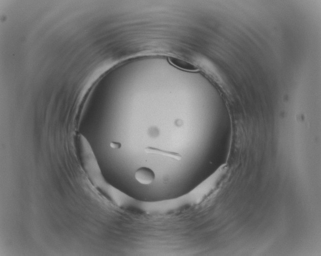 X0000076431284200610202236