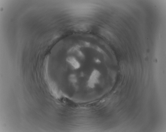 X0000076431297200610202235