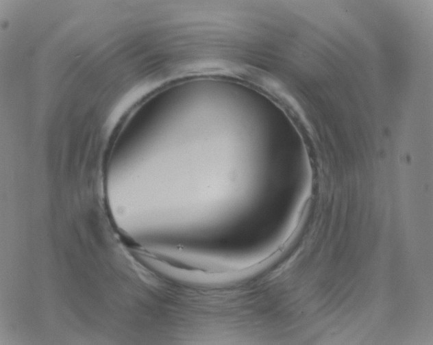 X0000076431328200610202235