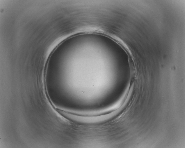 X0000076431343200610202235