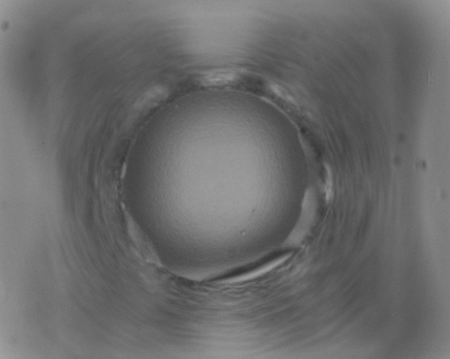 X0000076431441200610202233
