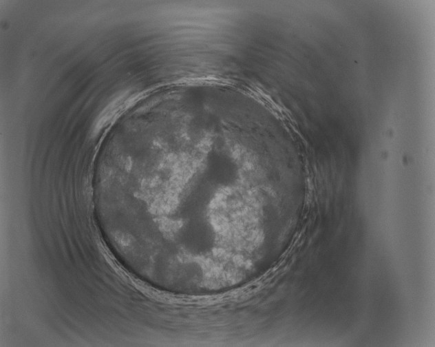 X0000076430002200610271745