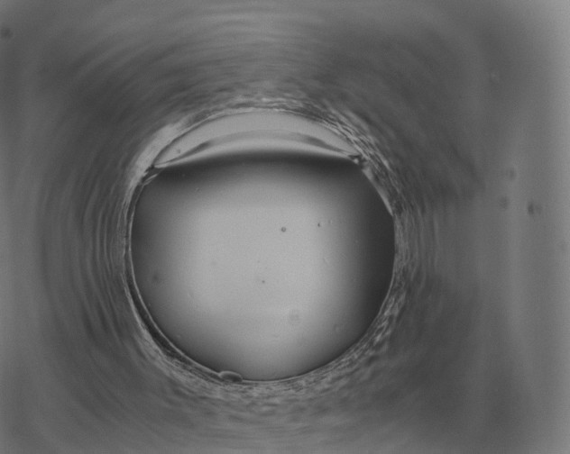 X0000076430003200610271745