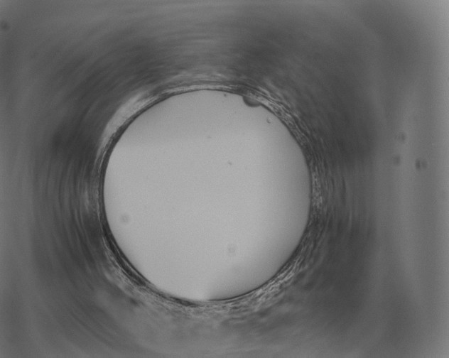 X0000076430004200610271745