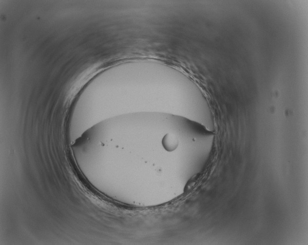 X0000076430005200610271745