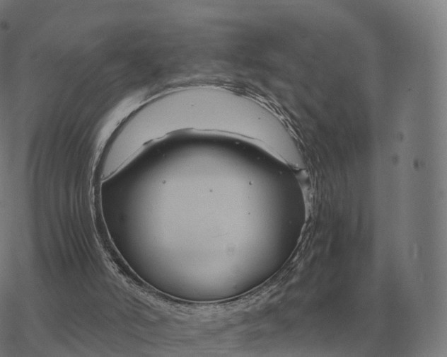 X0000076430006200610271745