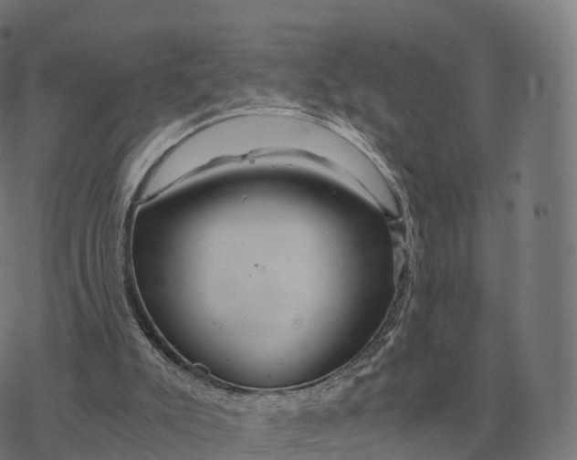 X0000076430007200610271745