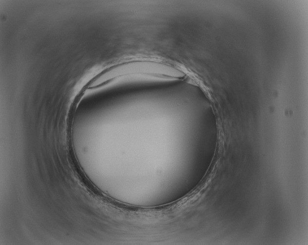 X0000076430008200610271745