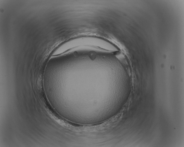 X0000076430009200610271745