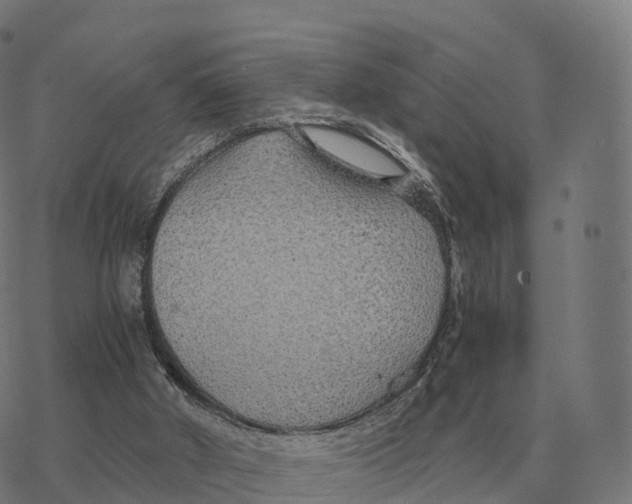 X0000076430010200610271745