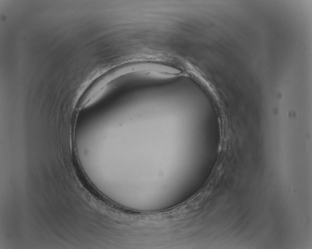 X0000076430011200610271745