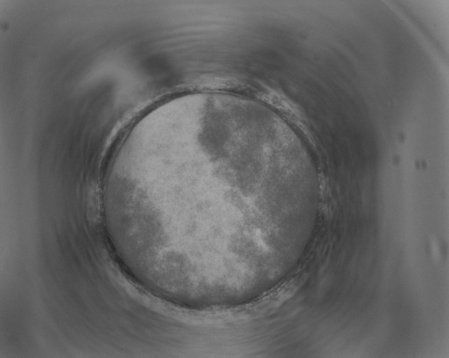 X0000076430012200610271745