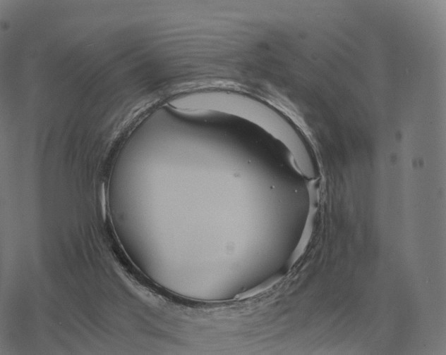 X0000076430013200610271745