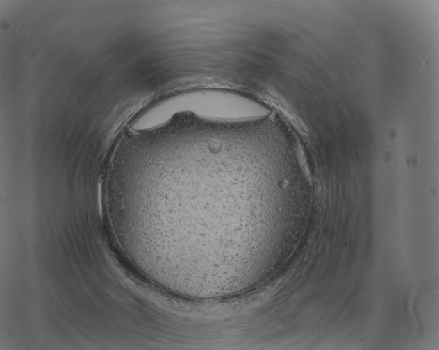 X0000076430014200610271745