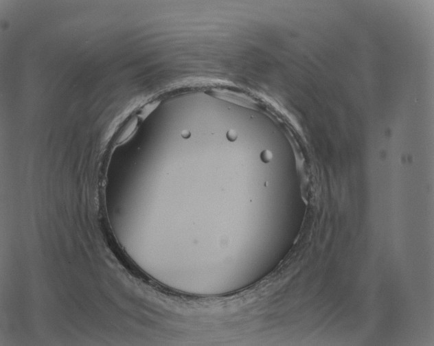 X0000076430015200610271745