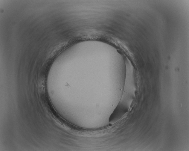 X0000076430017200610271745