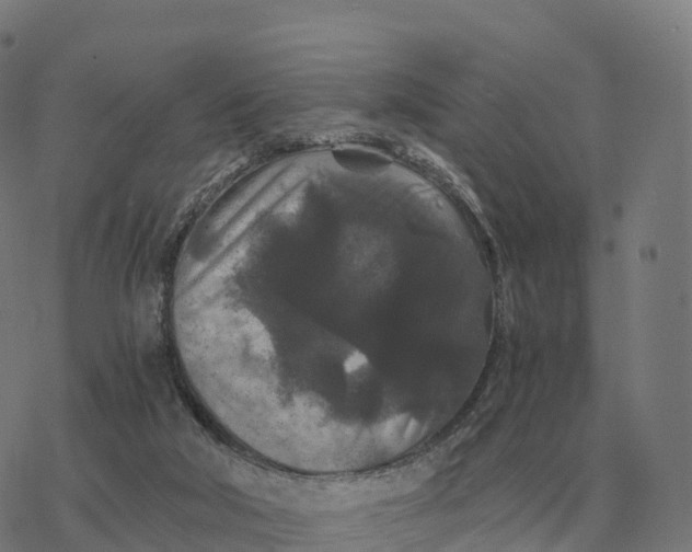 X0000076430018200610271745