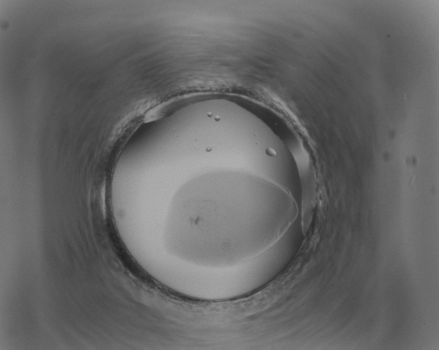 X0000076430019200610271744