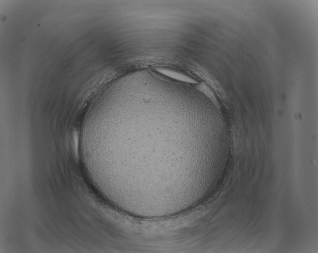 X0000076430022200610271744