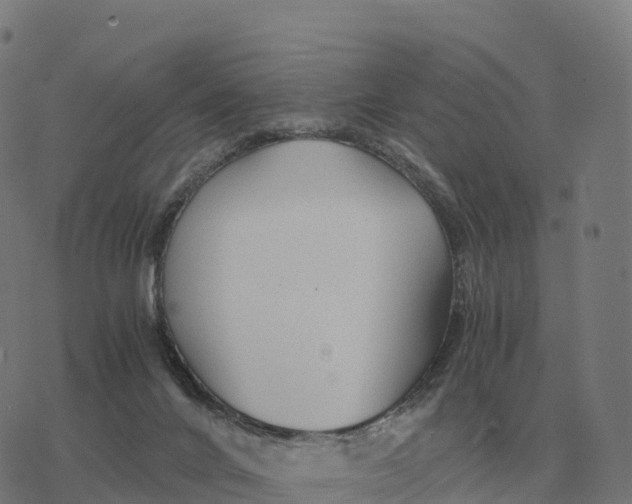 X0000076430024200610271744