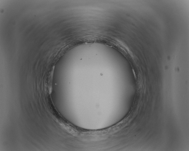 X0000076430025200610271744