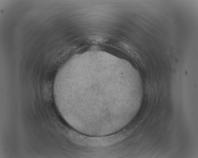 X0000076430030200610271744